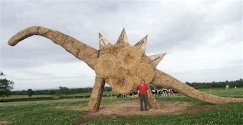 Haybale Art - When farmers get bored, fun hay bale sculptures result!