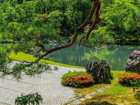 30+ Zen Garden Ideas That Will Inspire You