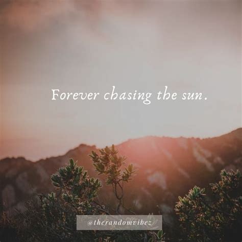 40 Sun Kissed Quotes And Captions For Instagram Photos