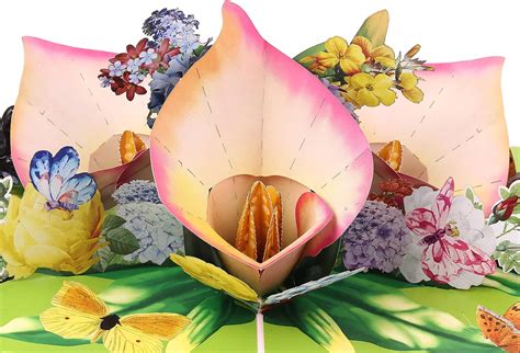 Buy TRUANCE Pop Up Card, Greeting Card, Calla Lily Flower For Mothers Days, Fathers Day ...