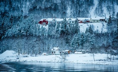 Premium Photo | Norwegian fjords in winter