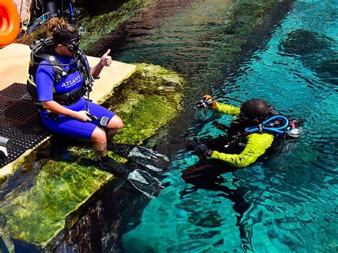 Dubai: Scuba diving with sharks at the Atlantis aquarium | Going-out ...