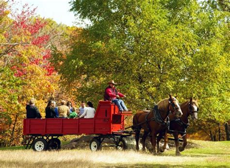 Pennsylvania Fall Foliage Reports | Fall foliage, Autumn scenery, Foliage