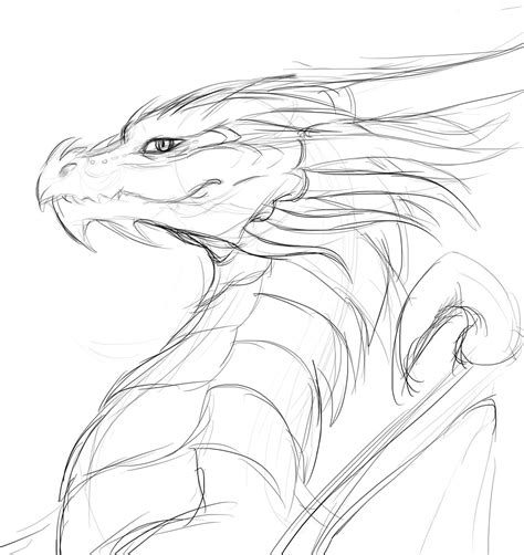 Dragon sketch by OBubbleGummPopO on DeviantArt