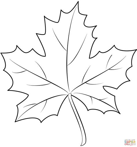 Maple Leaf coloring page | Free Printable Coloring Pages | Maple leaf ...