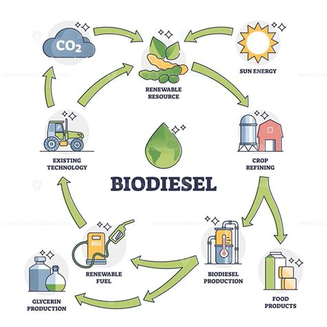 Biodiesel fuel life cycle explanation with all usage stages outline diagram - VectorMine