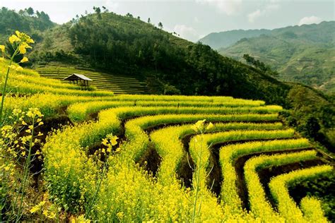 Vietnam hiking trails — Top 5 beautiful trails for hiking and trekking in Vietnam - Living ...