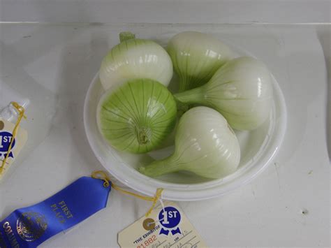 Columbia County Fair 2010 | What a lovely bowl of onions... | Flickr