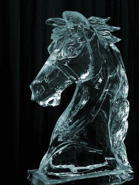 3D Horse Ice Sculpture | Ice sculptures, Sculpture, Ice art