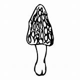 Fungi Sheet Coloring Pages sketch template