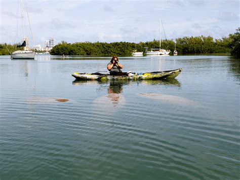 Kayaking With Manatees And Mountain Biking In Miami - Buddy The Traveling Monkey