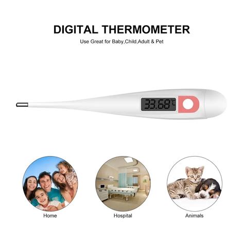 Digital Basal Body Temperature Thermometer With Cheaper Price - Buy ...