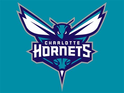 Charlotte Hornets | Pro Sports Teams Wiki | FANDOM powered by Wikia