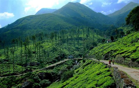 Kerala Hill Stations