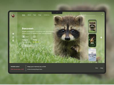 Wildlife Photography - Web UI by Dipto Talukder on Dribbble