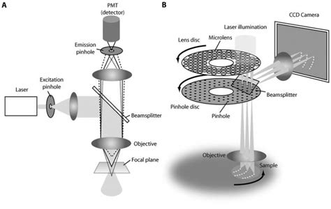 Introduction to Spinning Disk Confocal Microscopy