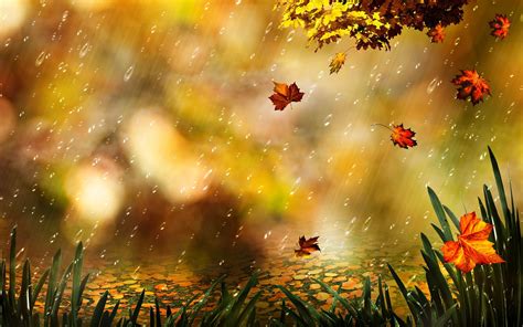 Rainy Fall Wallpaper - WallpaperSafari