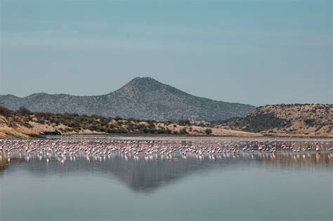 4 Days Lake Nakuru Masai Mara Safari | Travel agency In Nairobi