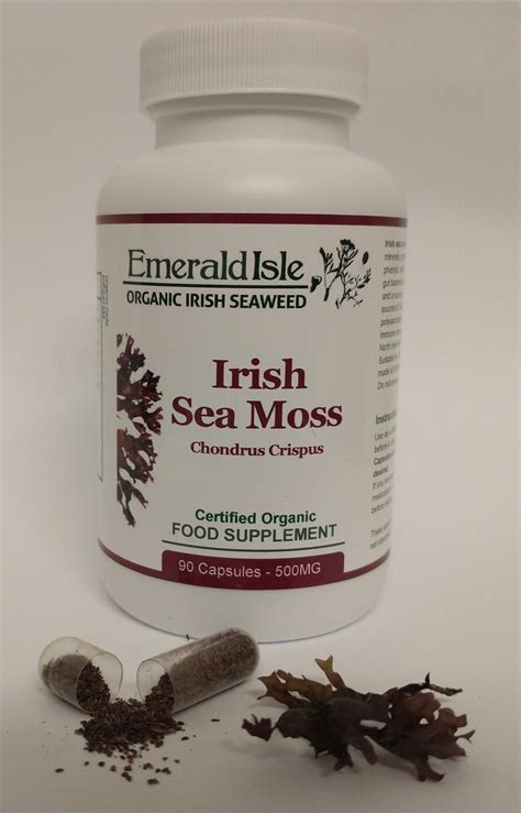 Irish Sea Moss Capsules Chondrus Crispus – Irish Seaweeds