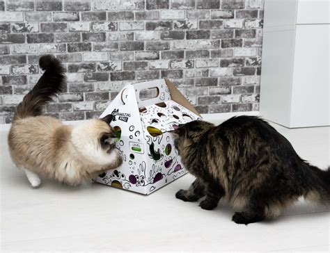 Cat Amazing EPIC! Cat Toy Puzzle Feeder » Gadget Flow