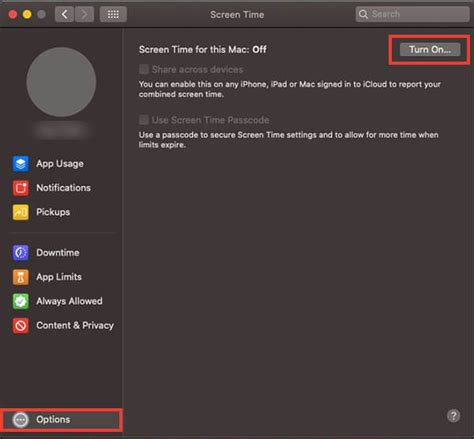 A Complete Guide to Using Screen Time on Mac - MashTips