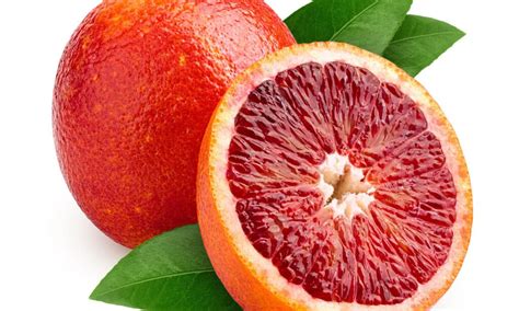 The 10 Largest Citrus Fruits - A-Z Animals