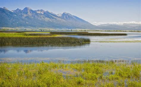 National Wildlife Refuge, Montana Stock Photo - Image of travel, ninepipe: 25984384