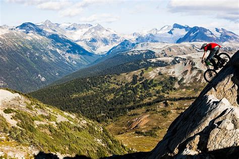 Online crop | HD wallpaper: bike, descent, forest, mountain | Wallpaper ...