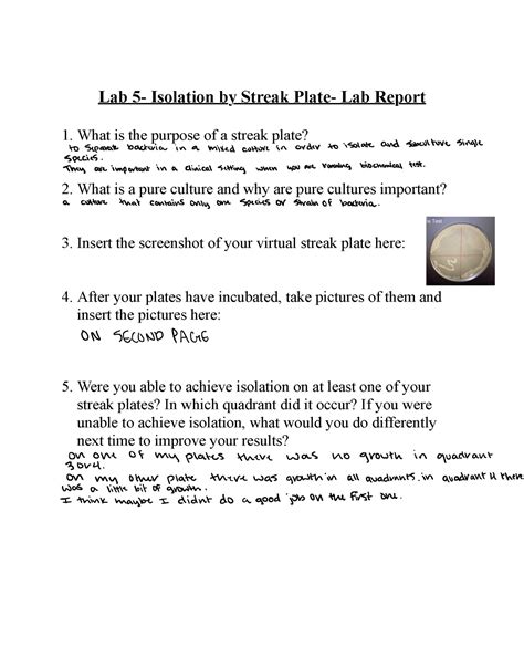 Lab 5- Isolation by Streak Plate- Lab Report.docx - What is the purpose of a streak plate? 2 ...