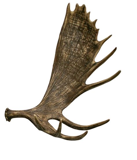 Moose Faux Antler | Cast Horn Designs