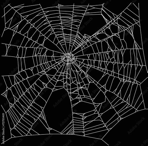 square old white spider web illustration Stock Vector | Adobe Stock