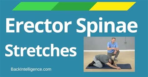 3 Erector Spinae Stretches - Back Intelligence