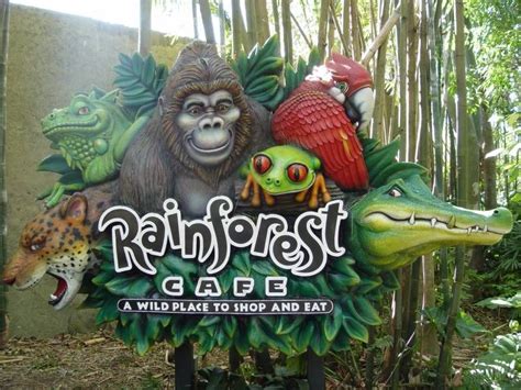 Rainforest Cafe at Animal Kingdom photo Walt Disney Resorts, Walt Disney World Vacations, Disney ...