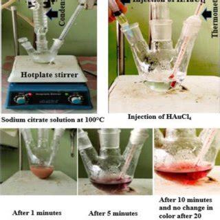 Synthesis procedure of gold nanoparticles (AuNPs) | Download Scientific ...