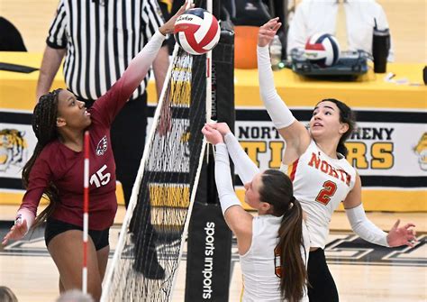 North volleyball back in WPIAL final – Butler Eagle