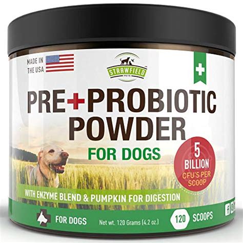 Best Probiotics for Dogs – Big Review Crew