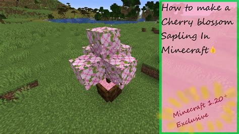 How to make a Cherry Blossom Sapling in Minecraft!|Minecraft 1.20 ...