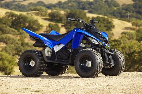 YAMAHA Raptor 90 (2010-2011) Specs, Performance & Photos - autoevolution