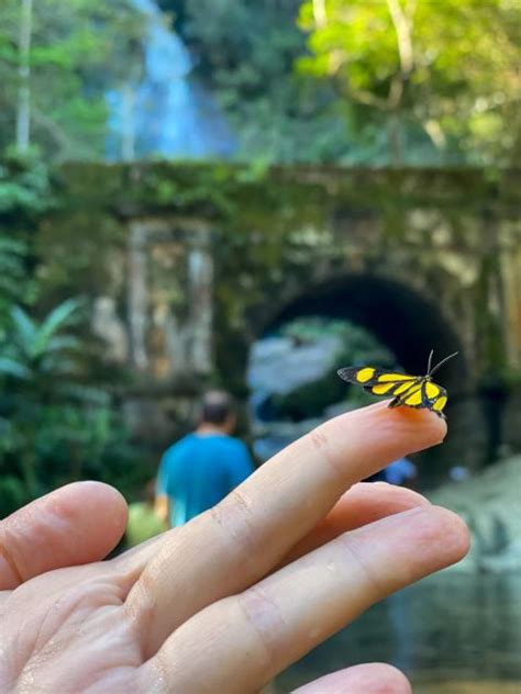 Rio De Janeiro: Tijuca Forest, Waterfalls, And Cave.