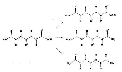 Carboxyl Functional Group Structure Sketch Coloring Page