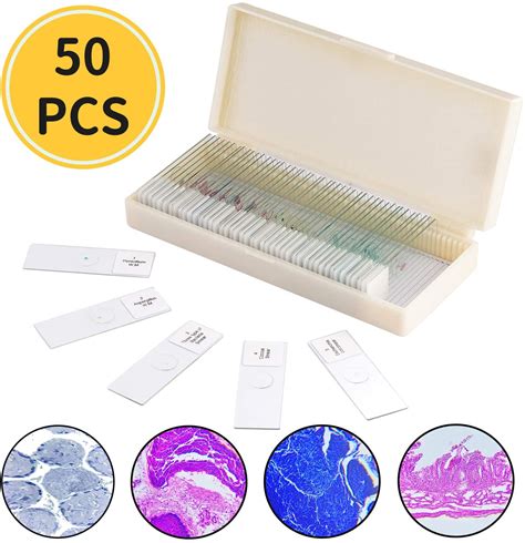 50Pcs Prepared Microscope Slides Set Professional Grade Specimens for Basic Biological Science ...