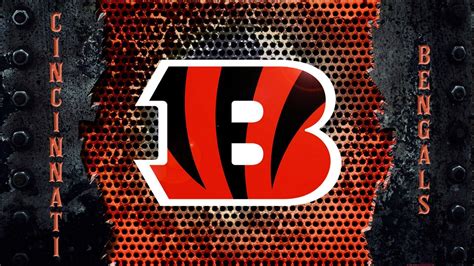 Bengals Wallpapers - Top Free Bengals Backgrounds - WallpaperAccess