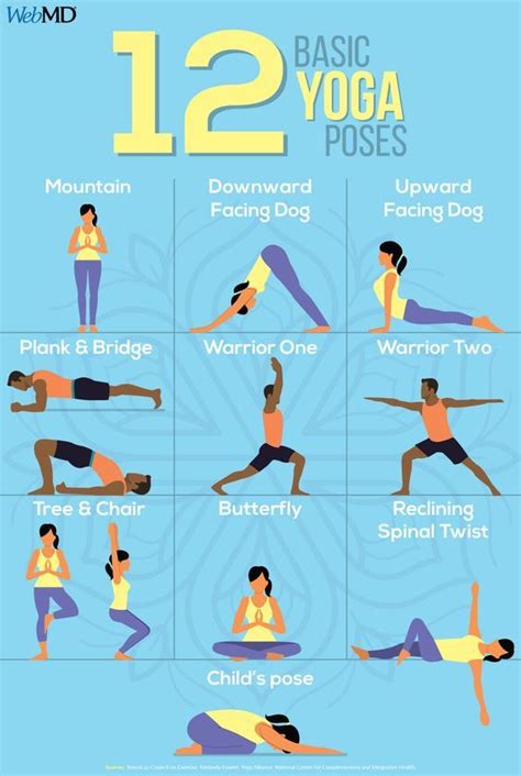 12 Basic Yoga Poses | Yoga poses, Basic yoga, Basic yoga poses