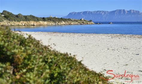 Olbia - idyllic beaches near the city | discover-sardinia.com