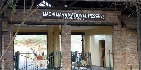 Masai Mara National Reserve Gates | Kenya wildlife safaris | wildebeest