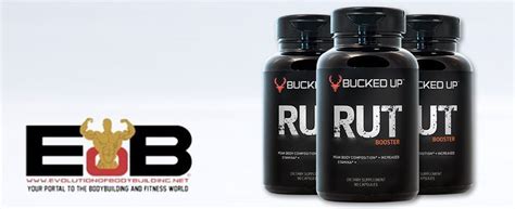 Bucked Up RUT Testosterone Booster Review - Evolution of Bodybuilding ...