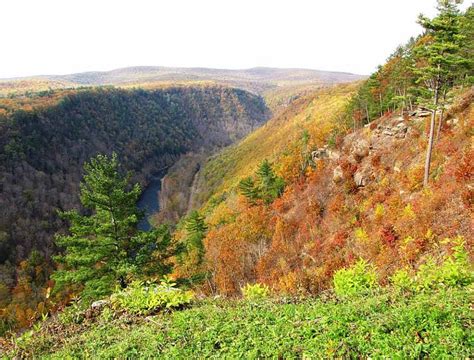 Autumn in Pine Creek Gorge - Pennsylvania's Grand Canyon