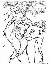 Simba Coloring Pages  Home sketch template