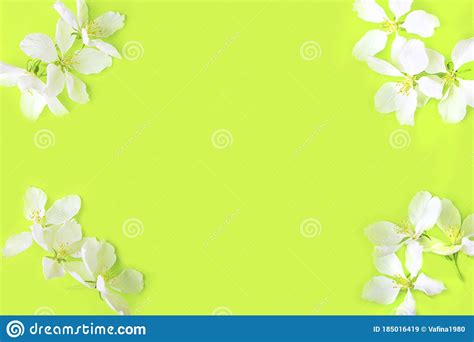 Floral Pattern Made of Apple Tree Flowers on Yellow Background. Flat Lay Flowers Composition for ...