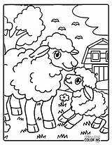 Lamb Coloring Pages Free PDF Printables  Simply Love sketch template